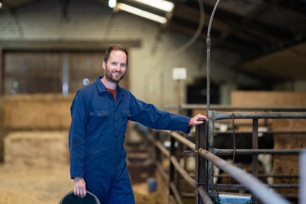 gritech sphere foto's 16